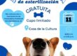 Tercer campaña de esterilización