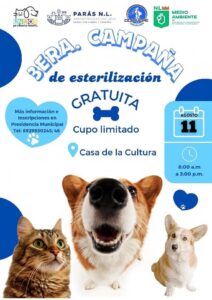 Tercer campaña de esterilización