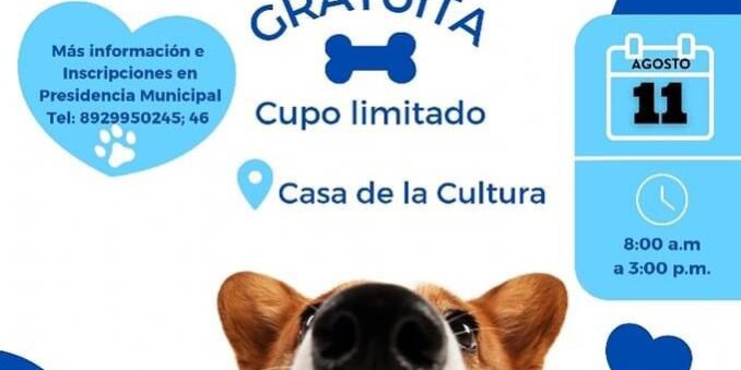 Tercer campaña de esterilización